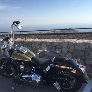 Meet your Posher, Chase